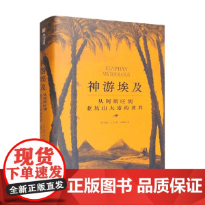 神游埃及 从阿斯旺到亚历山大港的世界 加里·J.肖 著 历史
