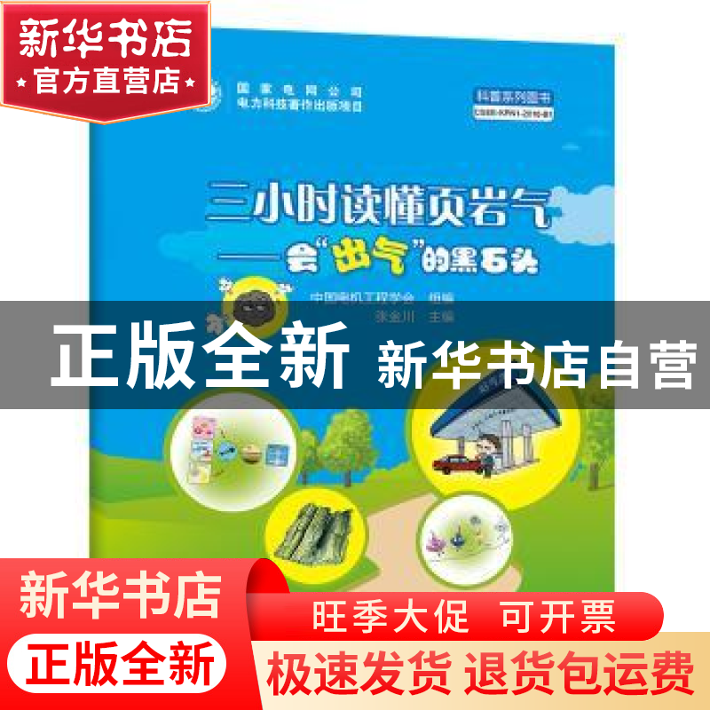 正版 三小时读懂页岩气:会“出气”的黑石头 张金川主编 中国电力