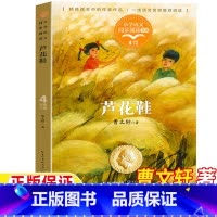 芦花鞋 [正版]芦花鞋曹文轩原著四年级下册同步阅读青铜葵花精选长江文艺出版社人民教育出版社人教版语文配套阅读