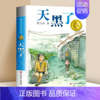❤天黑了 [正版]马戏团 曹文轩纯美小说系列 儿童文学大奖作家根鸟青铜葵花小学生7-9-10-12岁课外阅读书籍凤凰书店