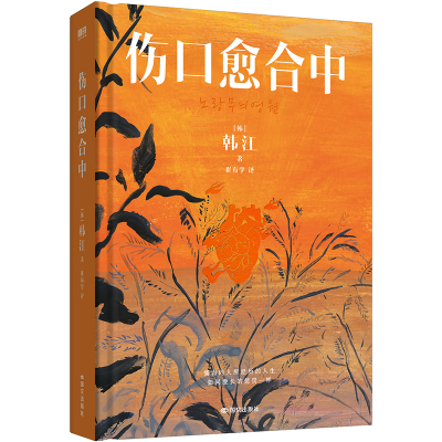 正版新书]伤口愈合中/[韩]韩江[韩]韩江 著9787512517608