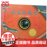 童书 海底的秘密 凯迪克金奖绘本 老师3-6-8岁幼儿园一二年级上下册快乐读书吧儿童早教启蒙睡前故事