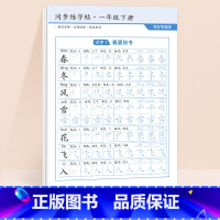 [一年级下]同步练字帖48张 [正版]二年级下册语文同步练字帖2024小学生字雷射控笔训练一三四五六年级人教版课堂一二类