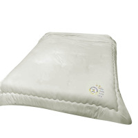 比韩家纺大豆被子春秋冬被定制色