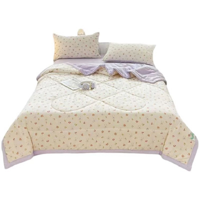 兰光铭 针织棉夏被 150cm*200cm 条