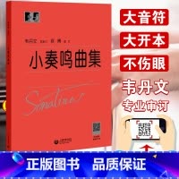[正版] 小奏鸣曲集 韦丹文大符头版 上海教育出版红皮书钢琴曲集新手小白零基础入门学字版大音符 讲解教学版书籍