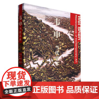 [正版新品]韦申 当代艺术 /韦申 湖南美术出版社
