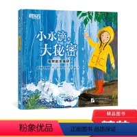 [正版]小水滴大秘密精装绘本图画书一本贴近生活知识含量丰富的科普绘本了解水循环适合3岁以上童书