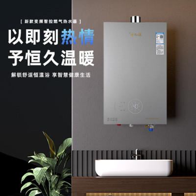 宁金龙燃气16JL01热水器 天然气精准控温 变频恒温 16升节能省气