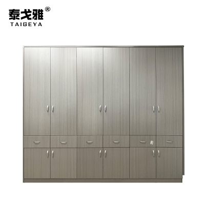 泰戈雅 文件柜 4x2.3x0.55m 个