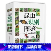 [正版]昆虫识别图鉴 动物世界书籍物种百科全书辨认昆虫类研究图鉴微生物小动物科学研究探索 1004种昆虫自然百科知识读