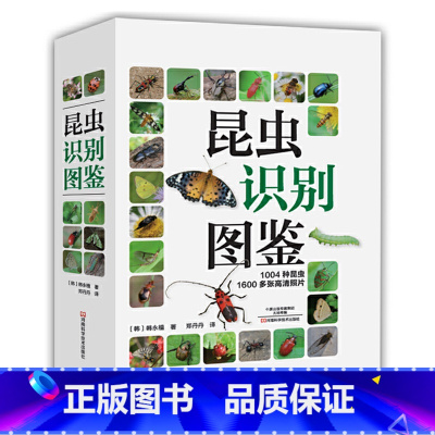 [正版]昆虫识别图鉴 动物世界书籍物种百科全书辨认昆虫类研究图鉴微生物小动物科学研究探索 1004种昆虫自然百科知识读