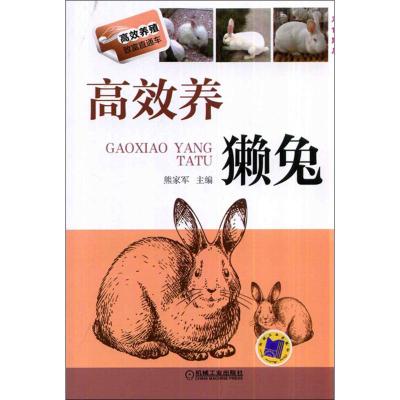 正版新书]高效养獭兔(22)熊家军9787111466024