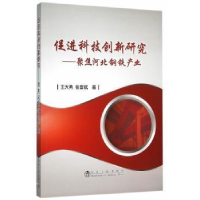 音像促进科技创新研究:聚焦河北钢铁产业王大勇,张雪斌著