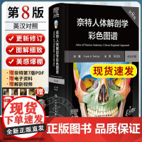新版 奈特人体解剖学彩色图谱 第八版8版彩色局部七版7版升级电子版中英双语系统格氏神经临床基础教材内外生理科学法医解刨书