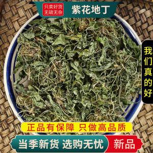 甄选紫花地丁100克地丁草箭头草犁头草铧头草地丁无硫9260