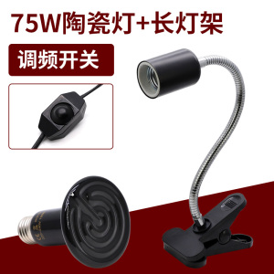 玄凤鹦鹉保暖灯鸟用加热器保温箱取暖加温恒温陶瓷暖灯窝冬天用品