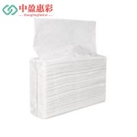 中盈惠彩 擦手纸 CSZ0074 23*6.5*13.5cm 20包 1箱