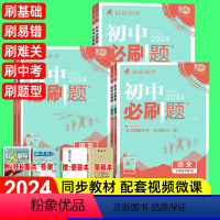 [语文]人教版(附狂K重点+答案解析) 七年级下 [正版]2024版初中必刷题七八九年级上下册语文人教版初一同步练习册附