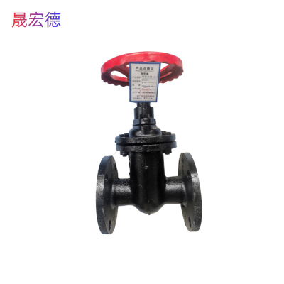 晟宏德 铸铁闸阀 法兰 DN125 个