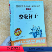 骆驼祥子 小学通用 [正版]小学课外阅读骆驼祥子捣蛋鬼日记简爱大林和小林鲁宾逊漂流记 儒林外史 爱丽丝漫游奇境记 无障碍