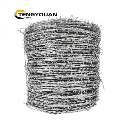 腾友安刺丝双股2.2mm