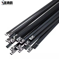 圣承启 金属扎带 4.6*250根