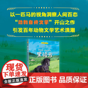 [ 正版童书]黑骏马 夏洛书屋经典版英安娜塞维尔著上海译文爱护动物洞察人性成长故事名家名译世界经典动物故事儿童文学