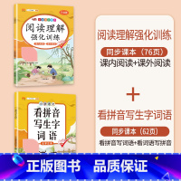 阅读理解+看拼音写生字词语 一年级上 [正版]2023新版一年级下册语文阅读理解专项强化训练书人教版训练题课外与答题模板