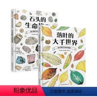 盛口满2册套装 石头的生命故事+落叶的大千世界 [正版]浪花朵朵 盛口满系列2册套装 石头的生命故事+落叶的大千世界