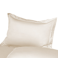 路吉通 贡缎枕套 58*88cm 个