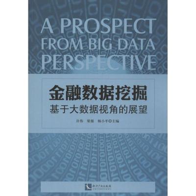 正版新书]金融数据挖掘:基于大数据视角的展望许伟978751301879