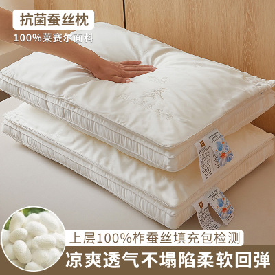2026新款A类100%蚕丝绣花柞蚕丝柔软回弹不塌陷立体多层枕头枕芯