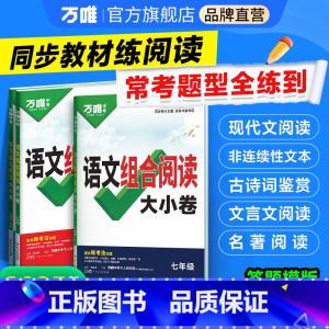 语文组合阅读大小卷 九年级 [正版]新书2025万唯初中语文组合阅读大小卷初一初二初三789年级阅读理解专项组合训练测试