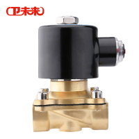 卫未来 黄铜电磁阀 DC24V 个
