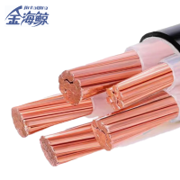 金海鲸 阻燃铠装铜电缆ZCYJV224×95+1 米