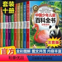 [全10册]中国少年儿童科普百科全书 [正版]中国少年儿童科普百科全书全10册 科普百科书籍 注音版大百科全套儿童趣味百