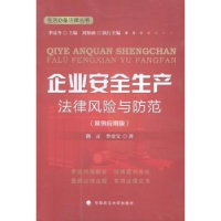 音像企业安全生产法律风险与防范:案例应用版路正,李金宝著