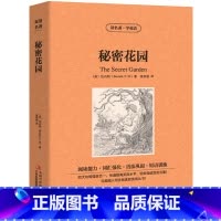 [正版]中英双语秘密花园书中英文双语名著读物英汉对照互译英语小说伯内特原著 读名著学英语 高中生初中生课外阅读书籍zy