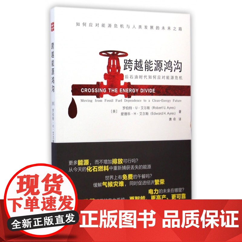 跨越能源鸿沟(后石油时代如何应对能源危机)