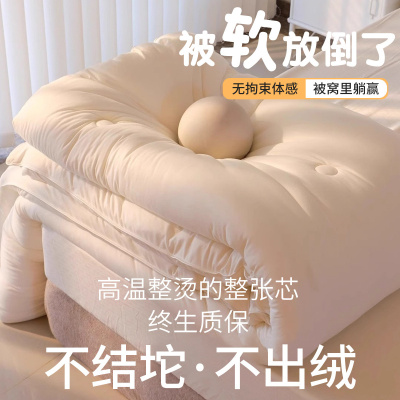大豆纤维被子春秋被芯夏凉被空调被可机洗棉被单双人夏被四季通用_1
