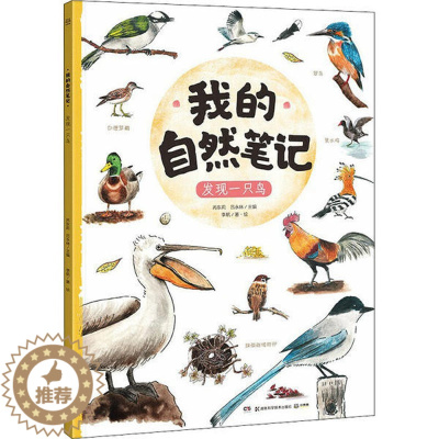 [醉染正版]我的自然笔记:发现一只鸟李航湖南科学技术9787571004743科普百科