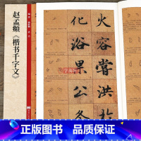 [正版]学海轩 赵孟頫楷书千字文放大版 赵孟俯赵体楷书毛笔书法字帖墨迹本附带教程技法解析 黑龙江美术出版社