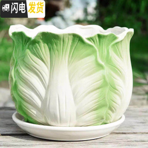 三维工匠花盆陶瓷带托盘大号特大号家用简约个性绿萝吊兰多肉花盆 S1包菜单个 特大花盆容器