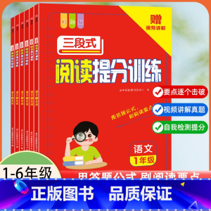 三段式阅读提分训练 小学二年级 [正版]三段式阅读提分训练小学语文一二三年级四五六年级阅读理解真题满分答题公式法课内外阅