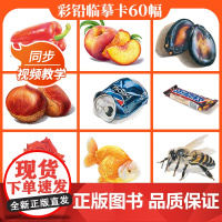 彩铅临摹卡综合篇2022一线美誉步骤对应美术绘画卡片兴趣高清原创