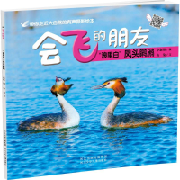 音像"浪里白"凤头鸊鷉李维新 摄;山兔 文