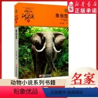 象母怨 [正版]书店 象母怨 升级版动物小说大王沈石溪·品藏书系 中/小学生阅读少儿读物 儿童文学