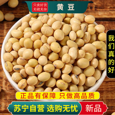 甄选黄豆100克五谷杂粮正品新货干货粗粮榨豆浆黄豆另售黑豆赤小豆