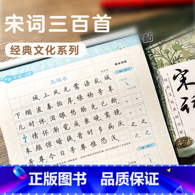 宋词三百首-楷书 [正版]字帖楷书练字儿童钢笔字帖成年楷书硬笔书法字帖大学生硬笔书法练字本大开本本宋词三百首荆霄鹏楷书字